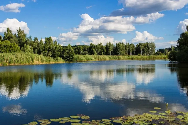 Река Усманка и пляж Боровое